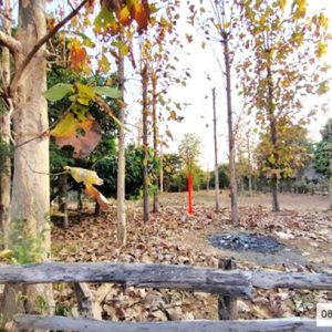 01 ที่ดินว่างเปล่า | นครพนม เรณูนคร เรณูใต้ | 01-88-12497