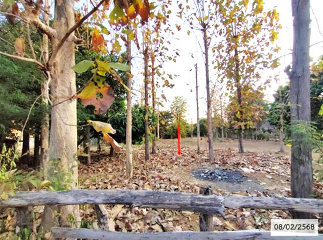 Real Estate from Banks _photo