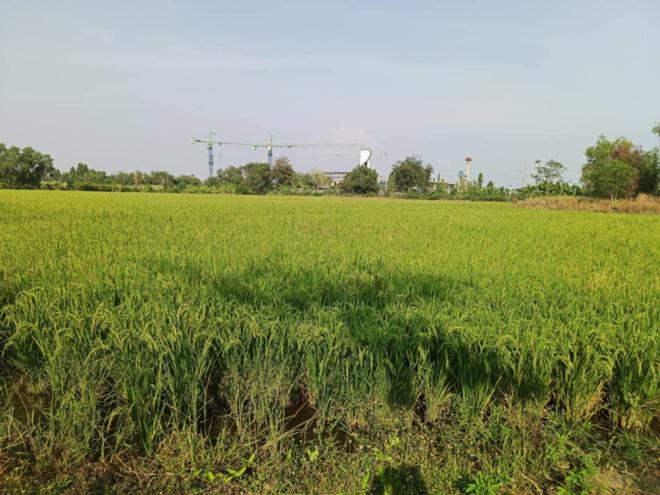 Real Estate from Banks _photo