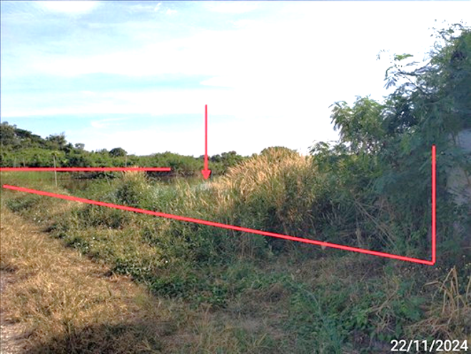 Real Estate from Banks _photo