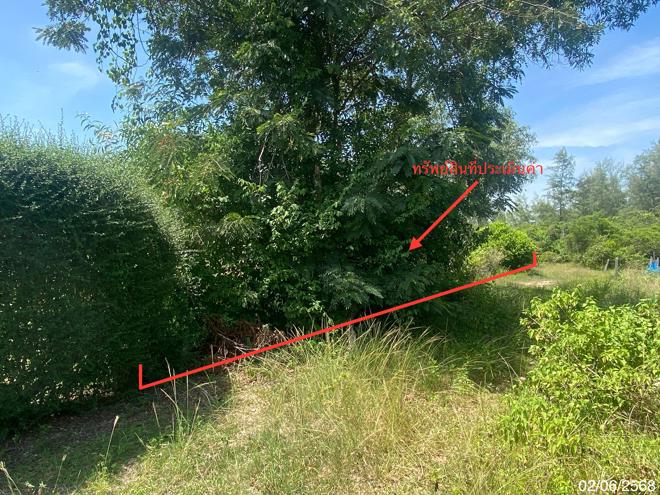 Real Estate from Banks _photo