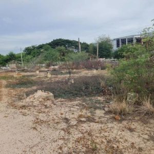 01 ที่ดินว่างเปล่า | สมุทรปราการ บางเสาธง บางเสาธง | 01-66-02211