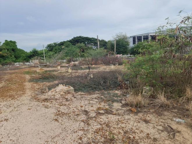 Real Estate from Banks _photo