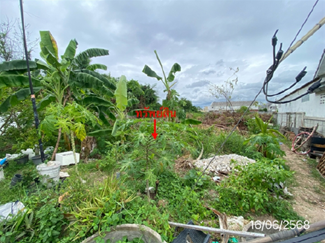 Real Estate from Banks _photo