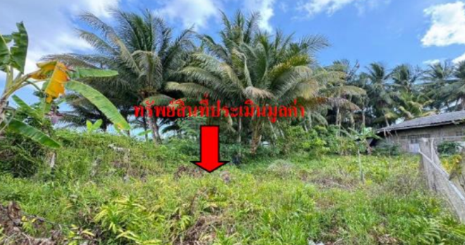 Real Estate from Banks _photo