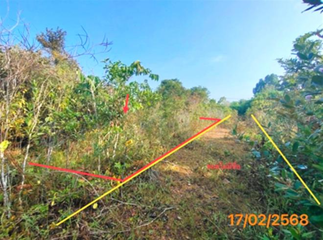 Real Estate from Banks _photo