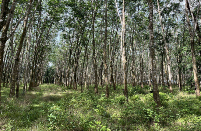 Real Estate from Banks _photo