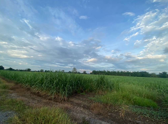 Real Estate from Banks _photo