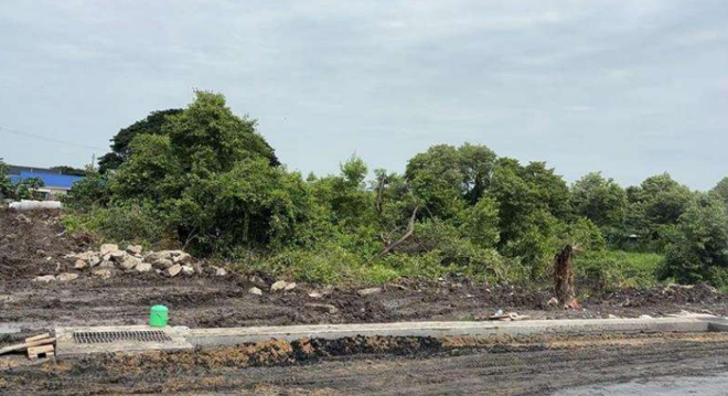 Real Estate from Banks _photo