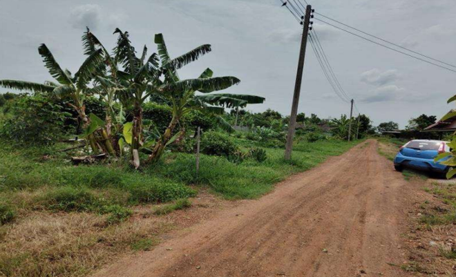 Real Estate from Banks _photo