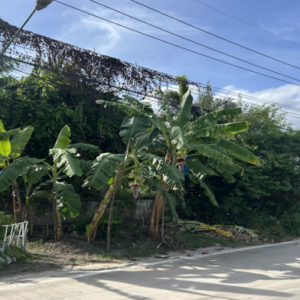 01 ที่ดินว่างเปล่า | ระยอง เมืองระยอง ห้วยโป่ง | 01-66-02229