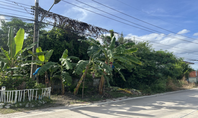 Real Estate from Banks _photo