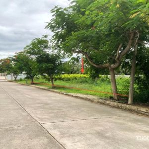 01 ที่ดินว่างเปล่า | นครปฐม นครชัยศรี นครชัยศรี | 01-88-12456