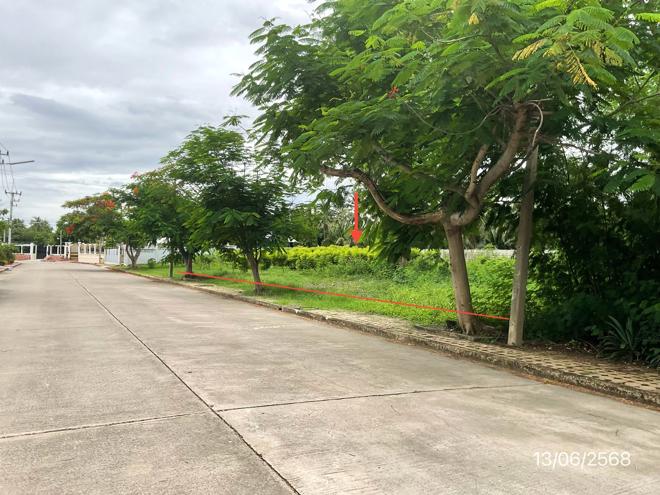 Real Estate from Banks _photo