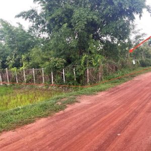 01 ที่ดินว่างเปล่า | สกลนคร เมืองสกลนคร ดงมะไฟ | 01-88-12466