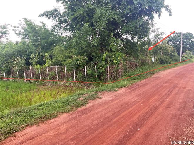 Real Estate from Banks _photo