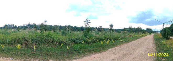 Real Estate from Banks _photo