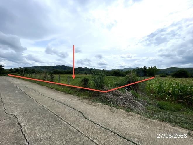 Real Estate from Banks _photo