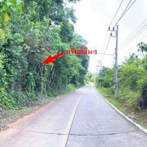 01 ที่ดินว่างเปล่า | ภูเก็ต เมืองภูเก็ต เกาะแก้ว | 01-88-12543