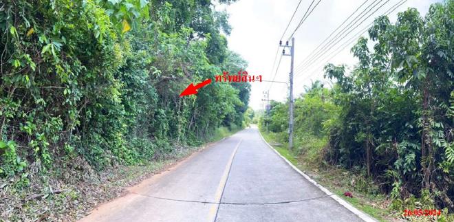 Real Estate from Banks _photo