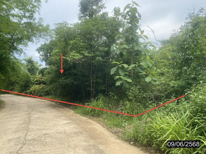 Real Estate from Banks _photo