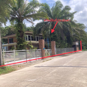 02 บ้านเดี่ยว | ระนอง เมืองระนอง บางนอน | 02-66-05570