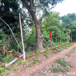01 ที่ดินว่างเปล่า | อุตรดิตถ์ ลับแล ด่านแม่คำมัน | 01-88-12472