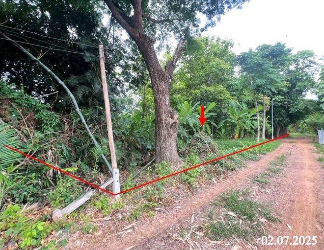 Real Estate from Banks _photo