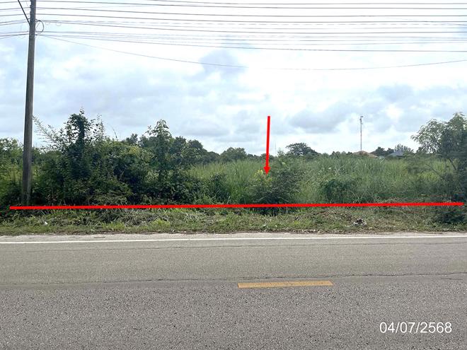 Real Estate from Banks _photo