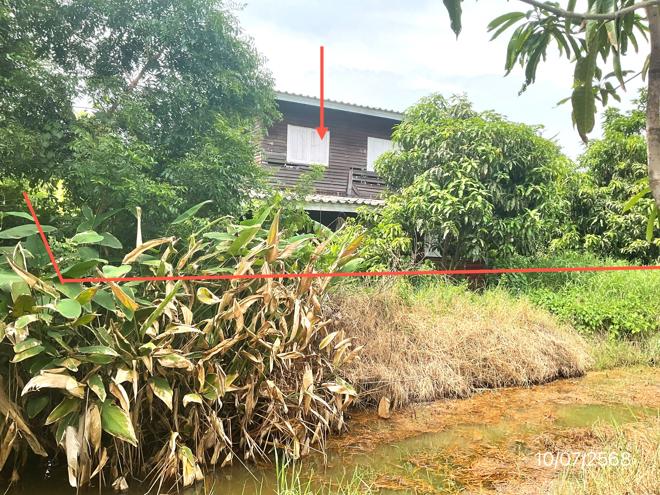 02 บ้านเดี่ยว | สมุทรปราการ บางพลี บางเสาธง | 02-88-17458