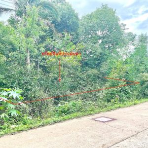 01 ที่ดินว่างเปล่า | ประจวบคีรีขันธ์ กุยบุรี กุยบุรี | 01-88-12477