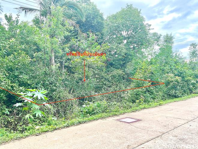 Real Estate from Banks _photo