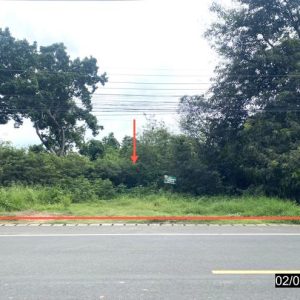 01 ที่ดินว่างเปล่า | เพชรบูรณ์ เมืองเพชรบูรณ์ สะเดียง | 01-88-12479