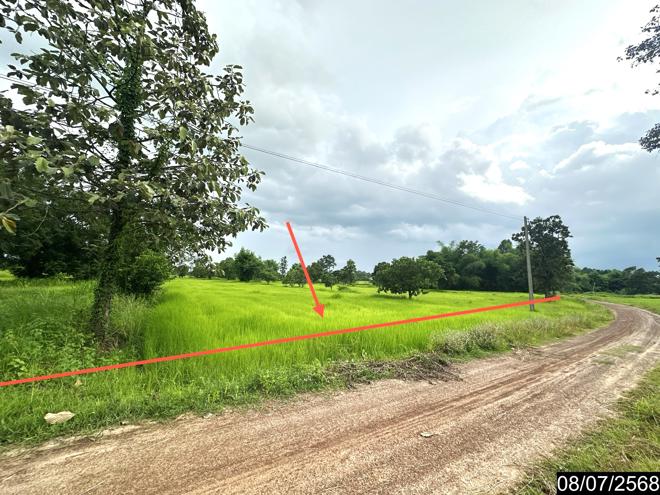 Real Estate from Banks _photo