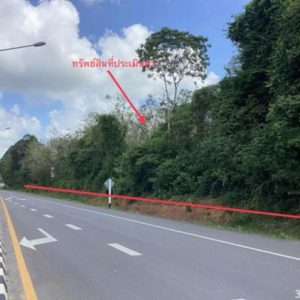 01 ที่ดินว่างเปล่า | พัทลุง ปากพะยูน หารเทา | 01-66-02244