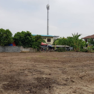 01 ที่ดินว่างเปล่า | นนทบุรี บางใหญ่ บางม่วง | 01-66-02245