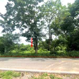 01 ที่ดินว่างเปล่า | สกลนคร วาริชภูมิ ค้อเขียว | 01-88-12552