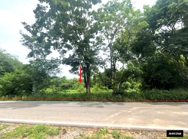 Real Estate from Banks _photo