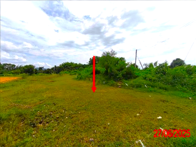 Real Estate from Banks _photo