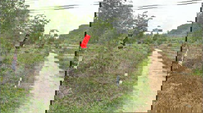 Real Estate from Banks _photo