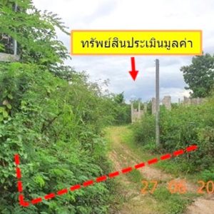 01 ที่ดินว่างเปล่า | ลำพูน ป่าซาง ท่าตุ้ม | 01-88-12554