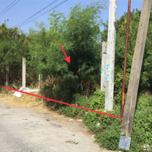 01 ที่ดินว่างเปล่า | สมุทรปราการ เมืองสมุทรปราการ สำโรงเหนือ | 01-66-02252