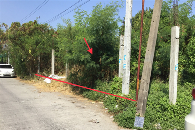 Real Estate from Banks _photo