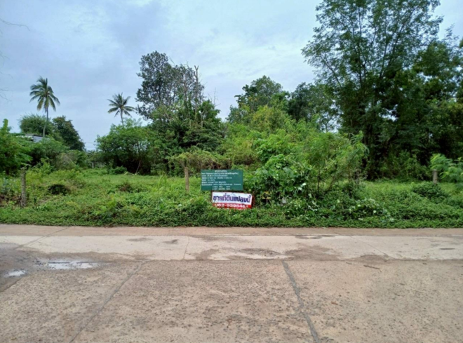 Real Estate from Banks _photo