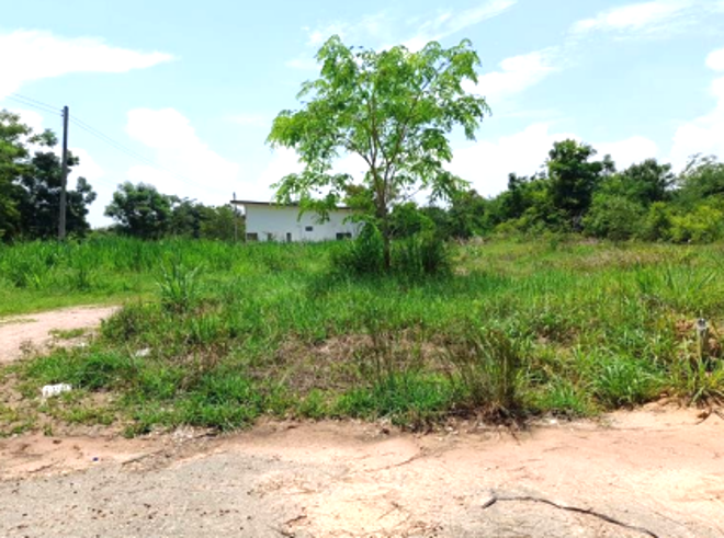 Real Estate from Banks _photo