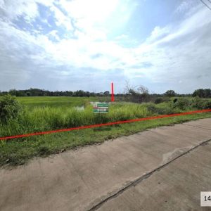 01 ที่ดินว่างเปล่า | นครพนม เรณูนคร ท่าลาด | 01-88-12493