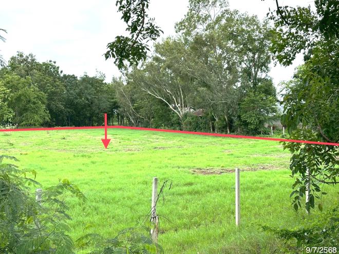 Real Estate from Banks _photo