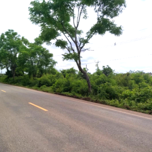 01 ที่ดินว่างเปล่า | สกลนคร วานรนิวาส เดื่อศรีคันไชย | 01-66-02257