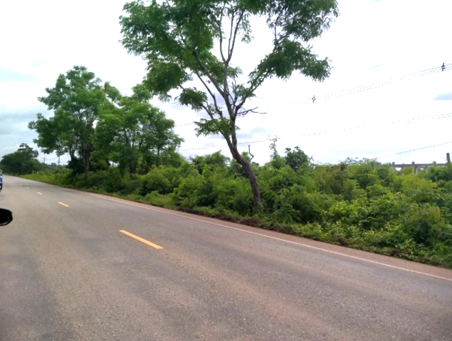 Real Estate from Banks _photo