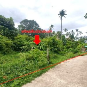 01 ที่ดินว่างเปล่า | สุราษฎร์ธานี เกาะสมุย ลิปะน้อย | 01-88-12555